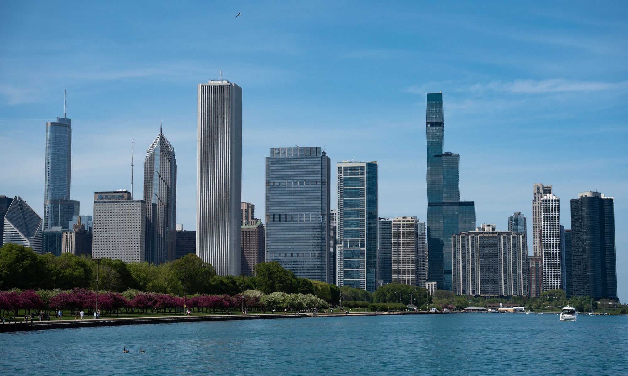 Willis Tower and the skyline from the lake